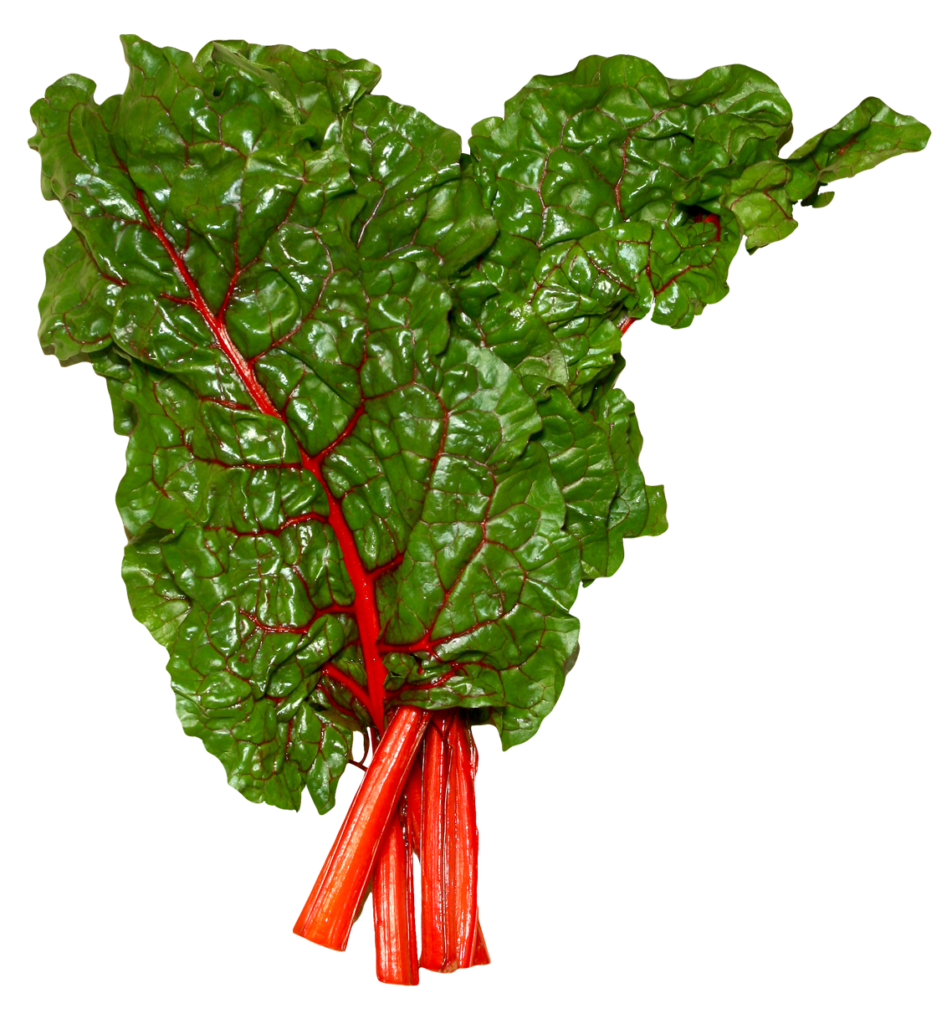 Fresh Swiss Chard Leaves