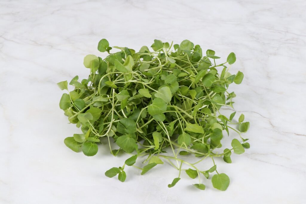 Green Watercress with spine removed