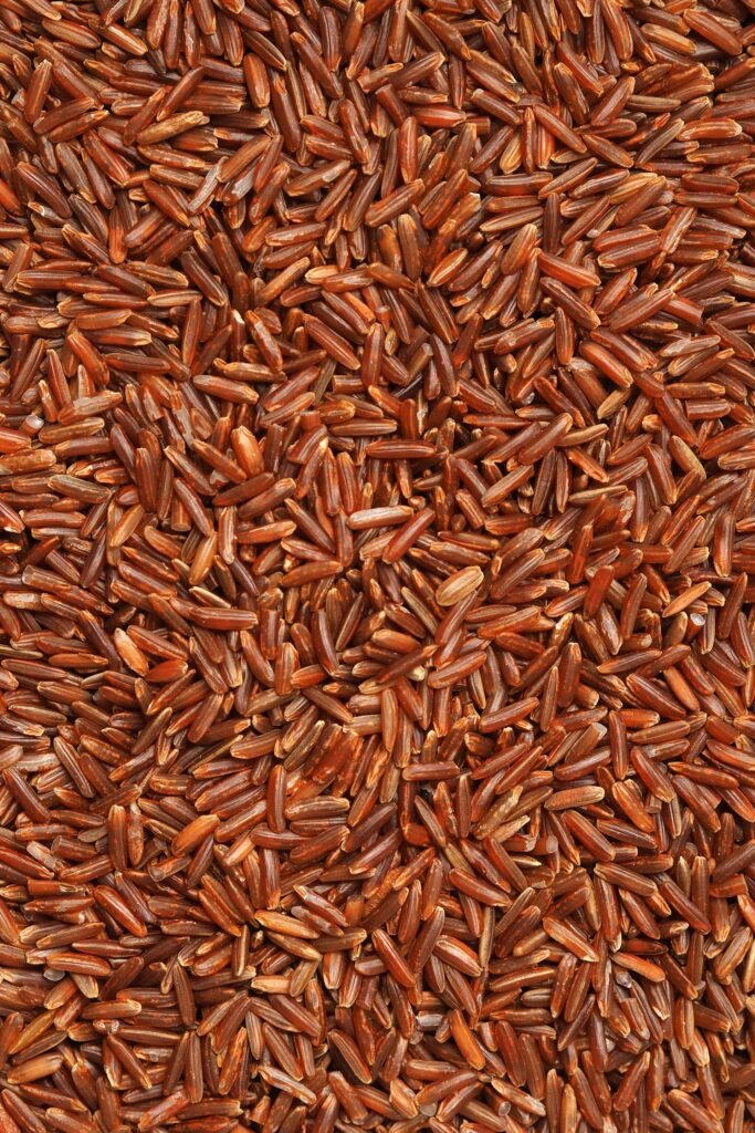 Brown grains of wild rice